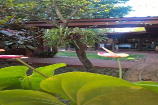 Boutique Hotel de la Fonte & Restaurant (Tres Fronteras)